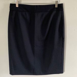 J. Crew Women's Skirt, Size 10 (g22)